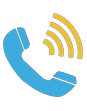 voice